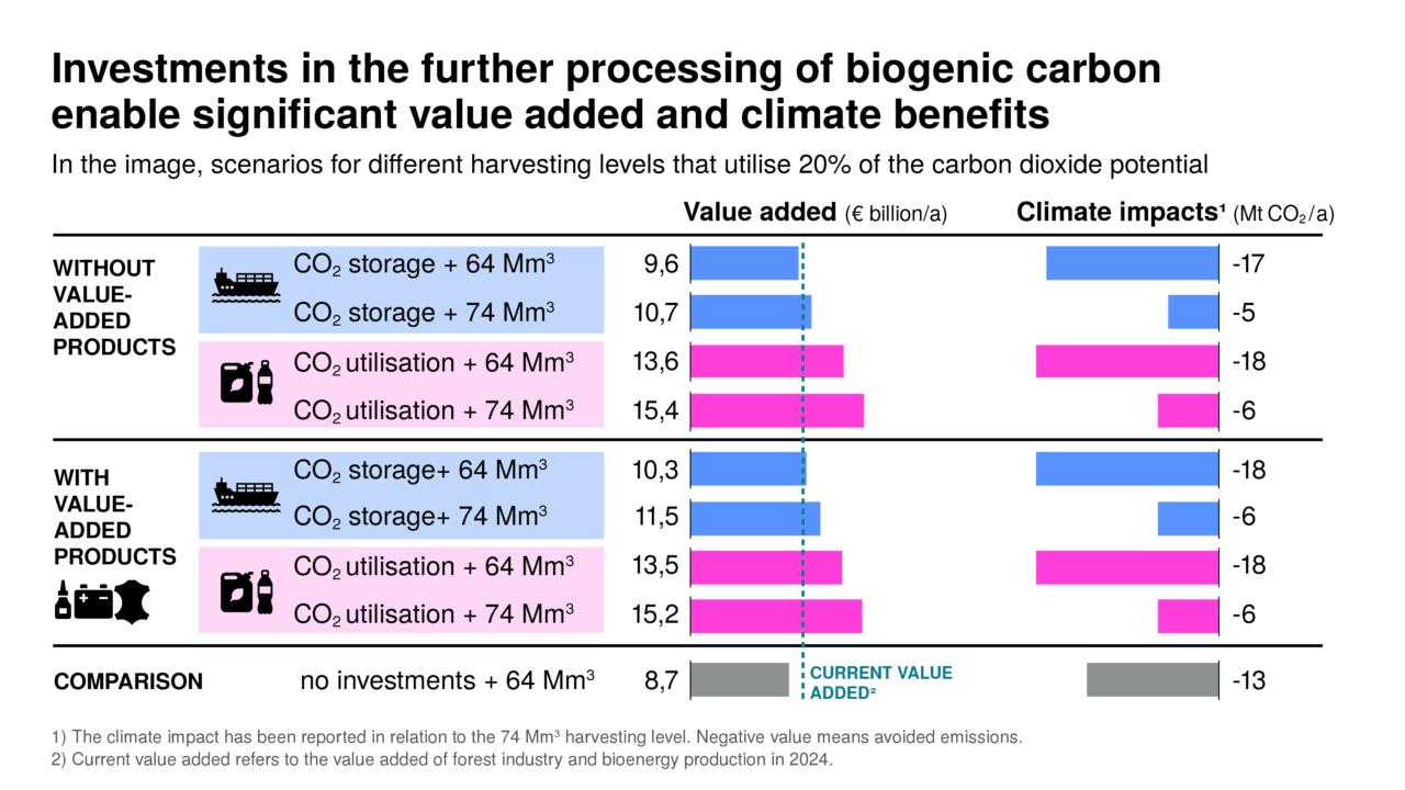 Investments in the further processing of biogenic carbon enable significant value added and climate benefits