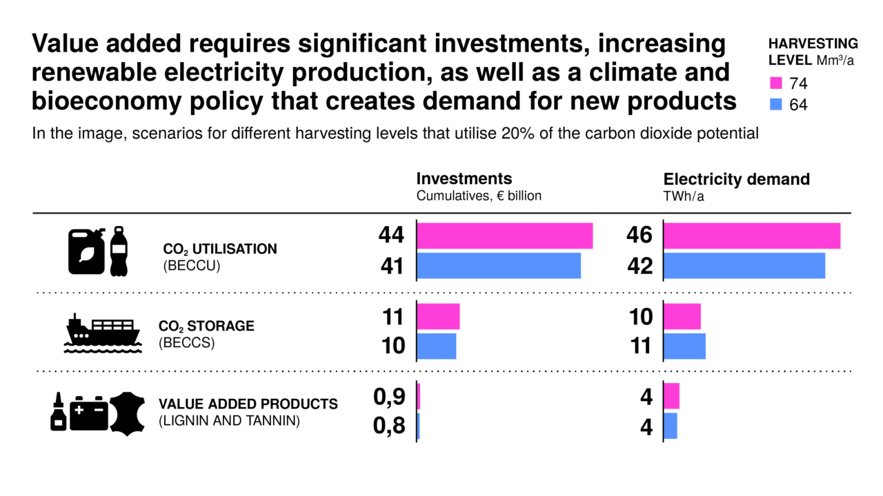 Value added requires significant investments, increasing renewable electricity production, as well as a climate and bioeconomy policy that creates demand for new products